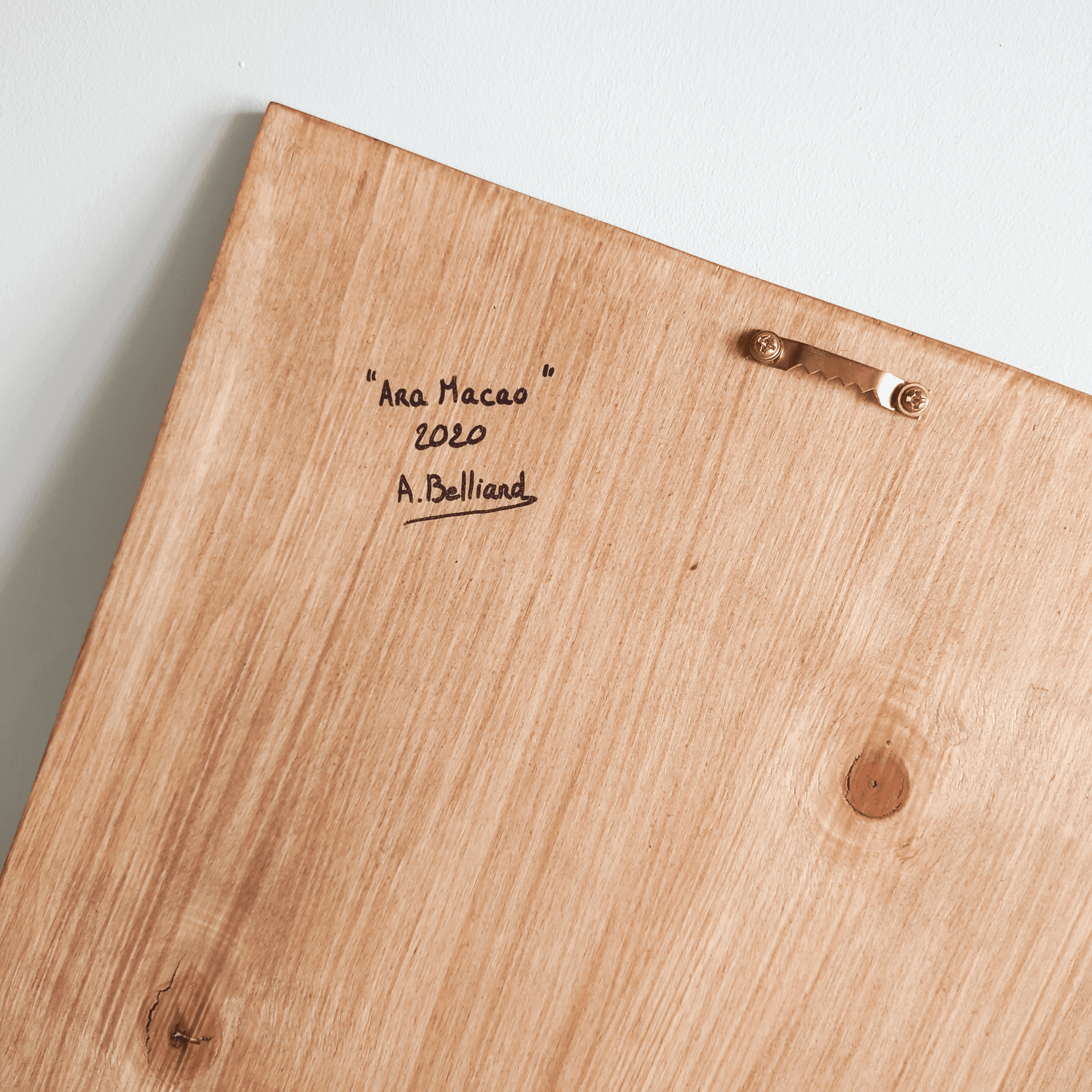 Peinture Perroquet Ara Macao Oiseau tropical Aline Belliard