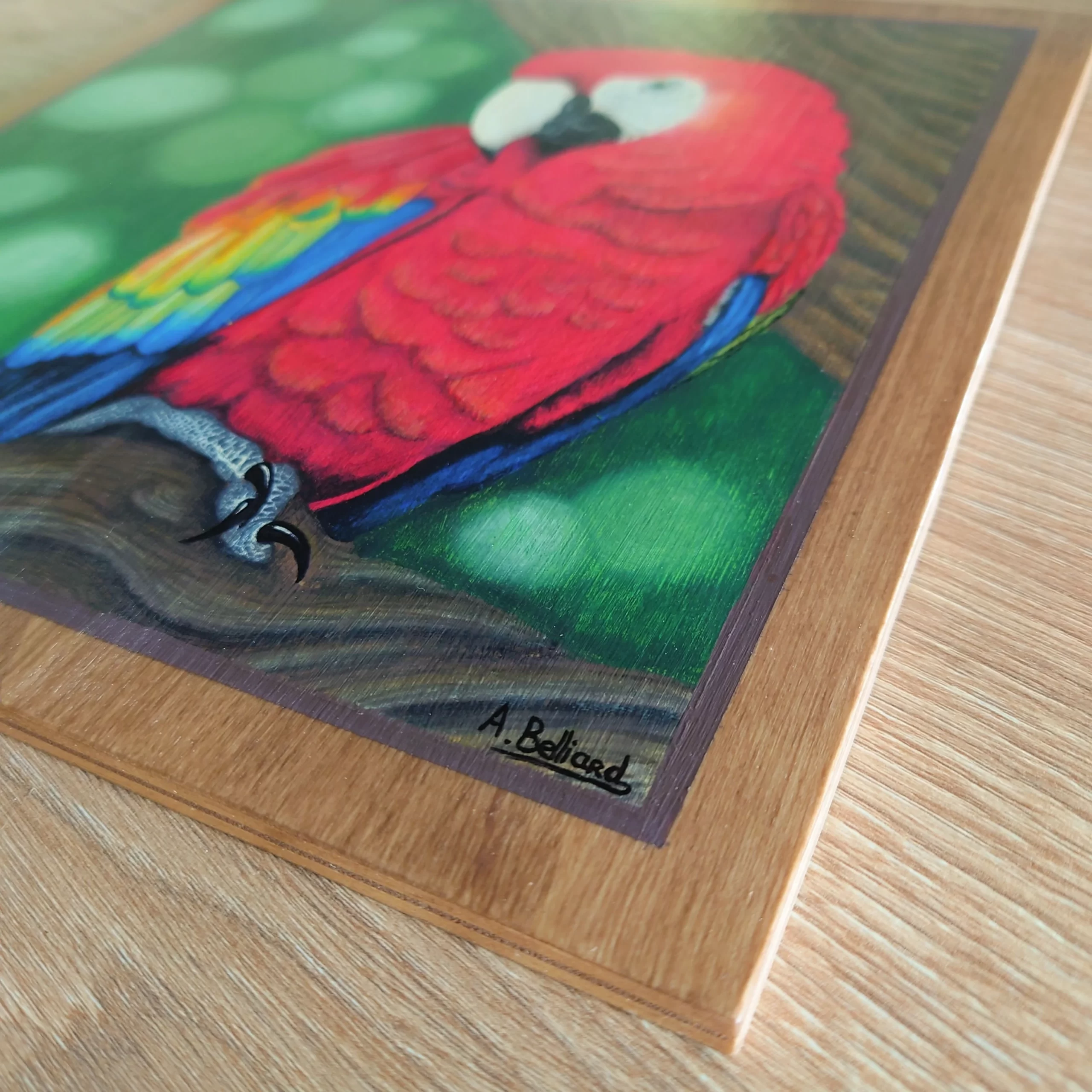 Peinture acrylique et pastels oiseau perroquet ara rouge par Aline Belliard