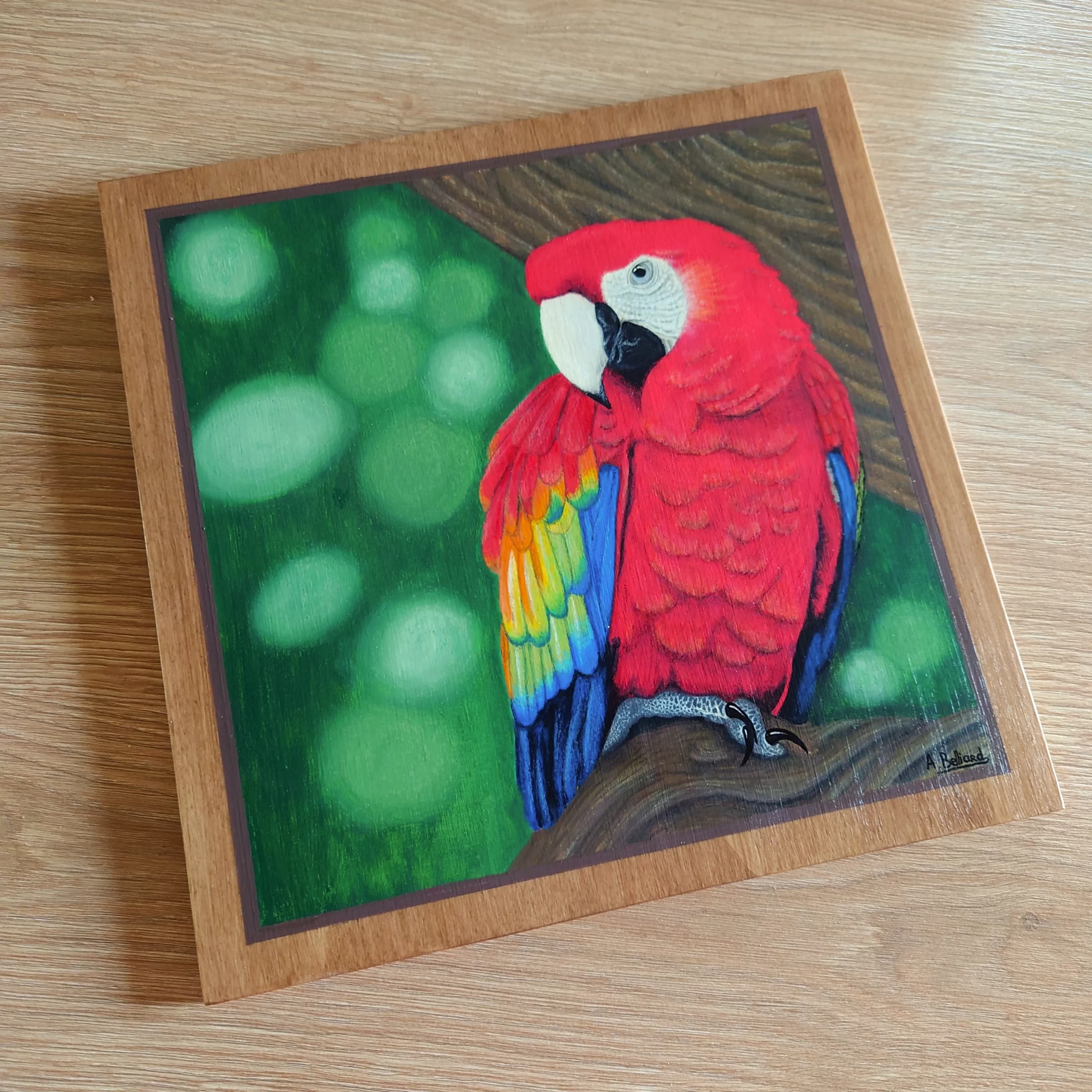 Peinture acrylique et pastels tropical perroquet ara rouge par Aline Belliard