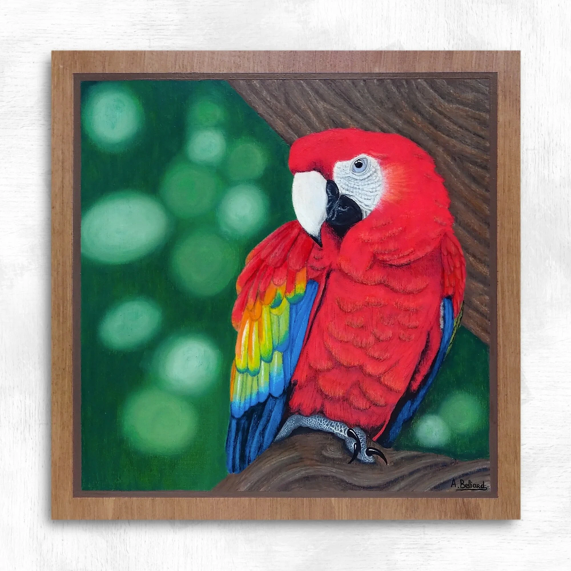 Tableau d'un perroquet ara macao réalisé par l'artiste peintre pastelliste Aline Belliard en peinture et pastels sur bois.