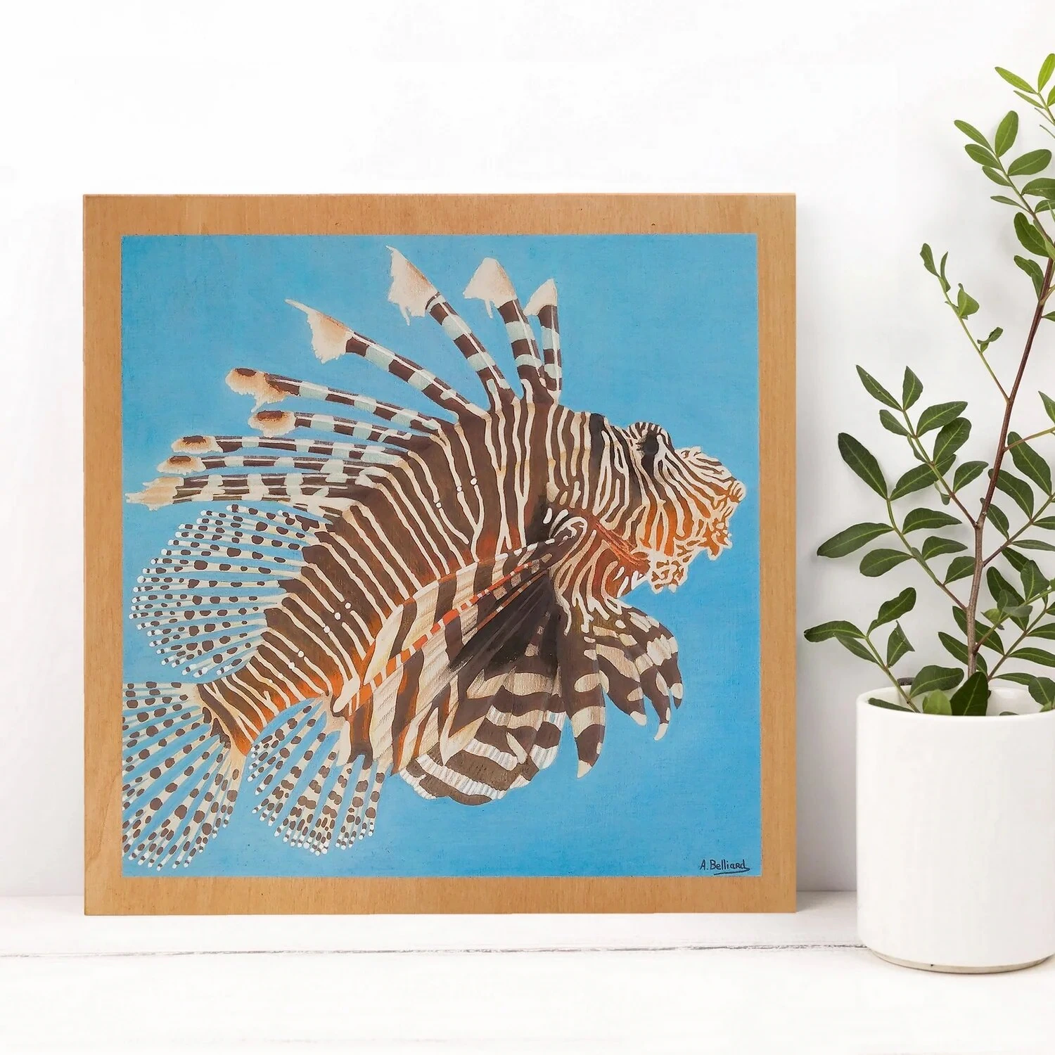 Tableau d'un poisson exotique rascasse volante de taille 30x30 cm posé sur un meuble.