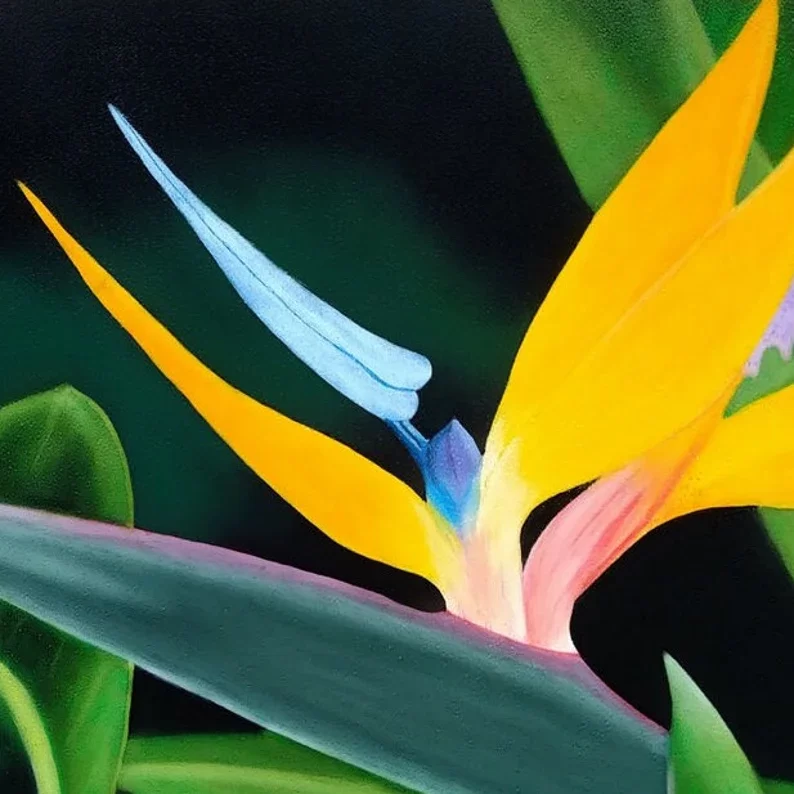 fleurs tropicales de strelitzia en peinture acrylique et pastels