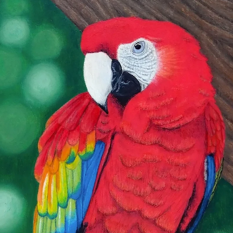 oiseau tropical perroquet ara macao rouge en peinture acrylique et pastels