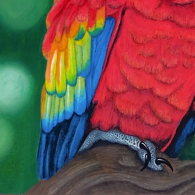 oiseau tropical perroquet ara macao rouge peinture acrylique et pastel