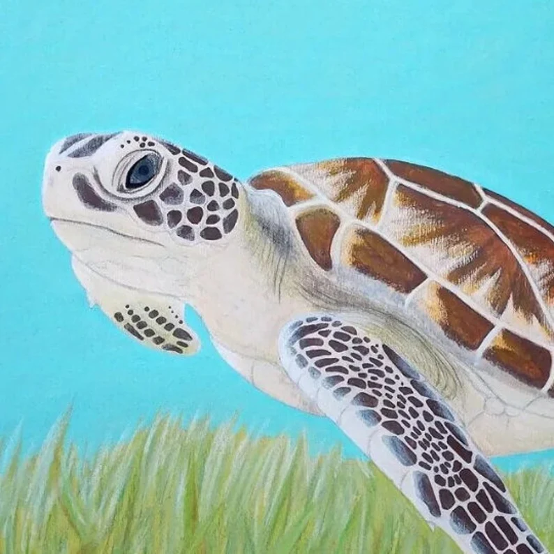 tortue marine dans l'océan peinture acrylique et pastel