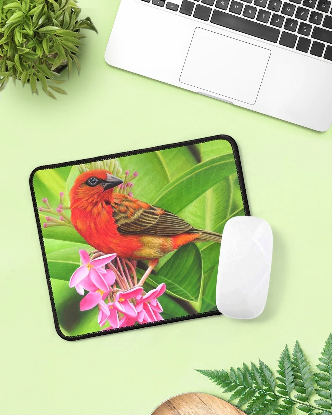 Tapis de souris tropical exotique, oiseau tropical cardinal Foudi rouge