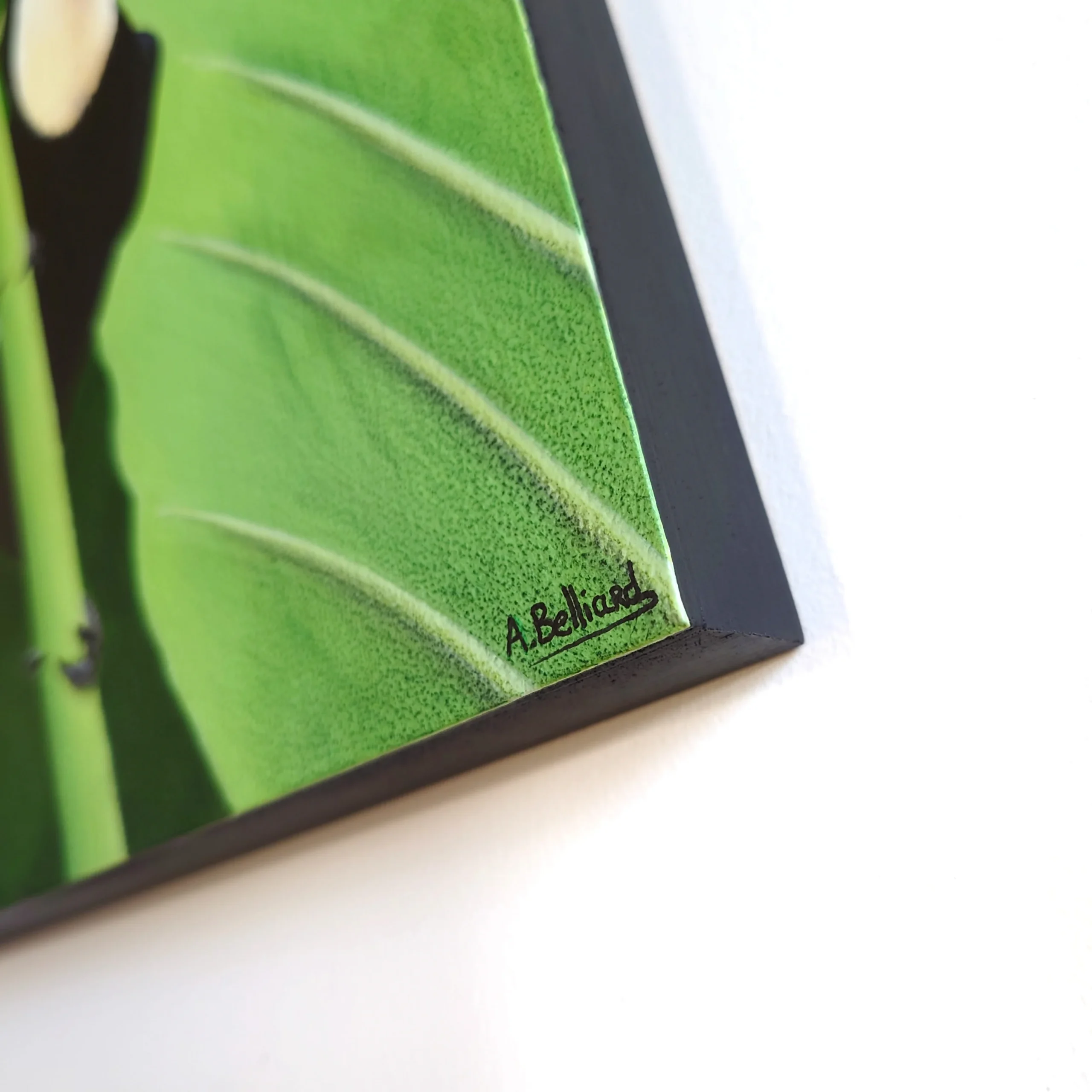 Tableau d'un oiseau tropical toucan dans les feuillages de taille 20x20 cm accroché sur un mur.