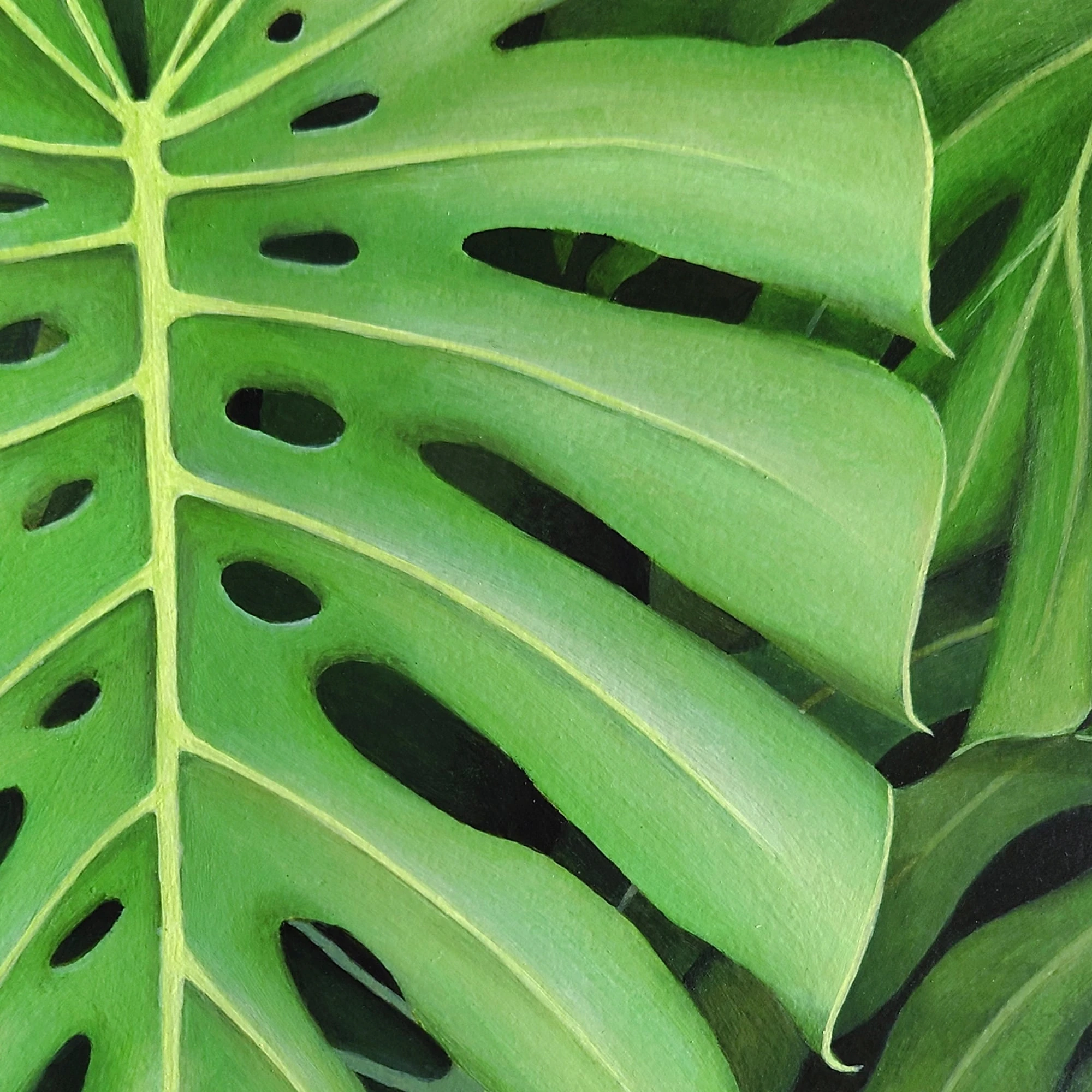 Peinture acrylique feuillage de plante monstera deliciosa sur bois naturel monté sur châssis par Aline Belliard