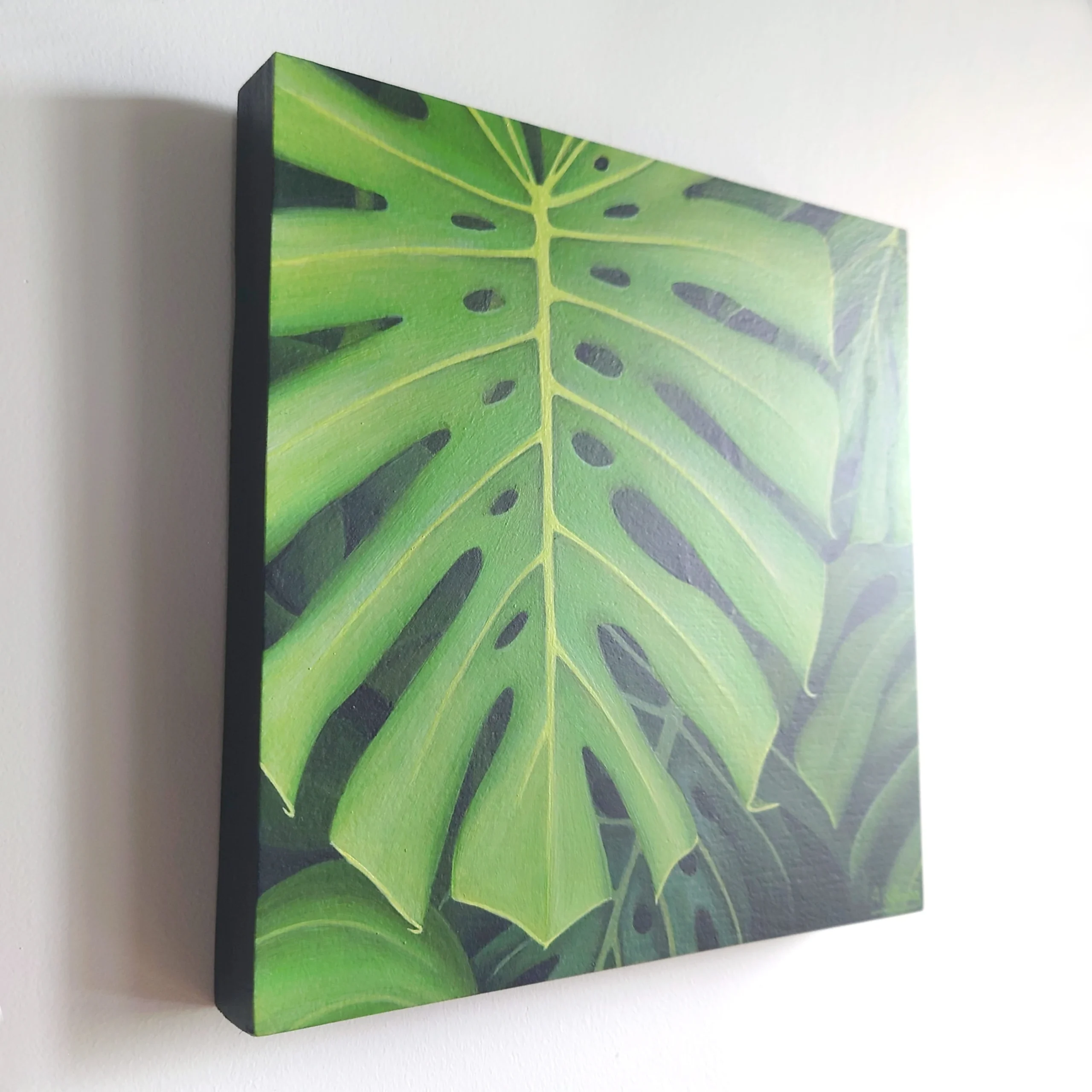 Peinture murale tropicale et exotique de feuillage de plante monstera deliciosa.
