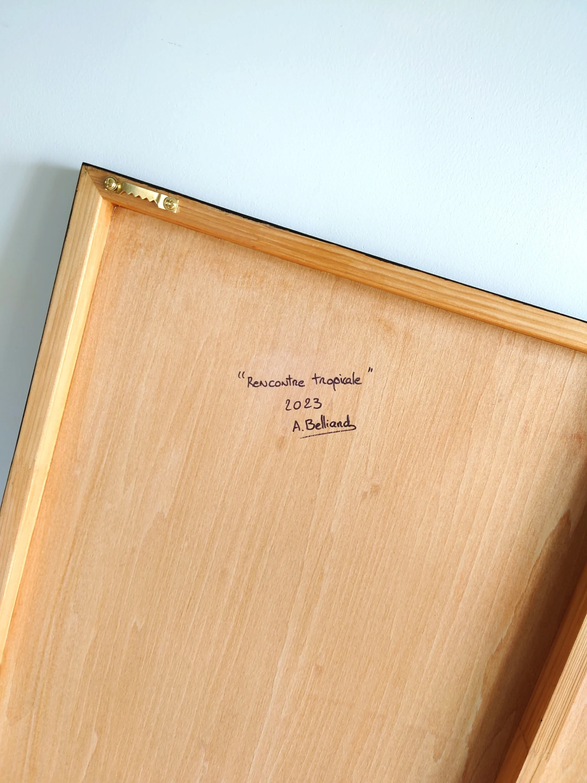 Peinture murale oiseaux toucans et plantes de la jungle tropicale