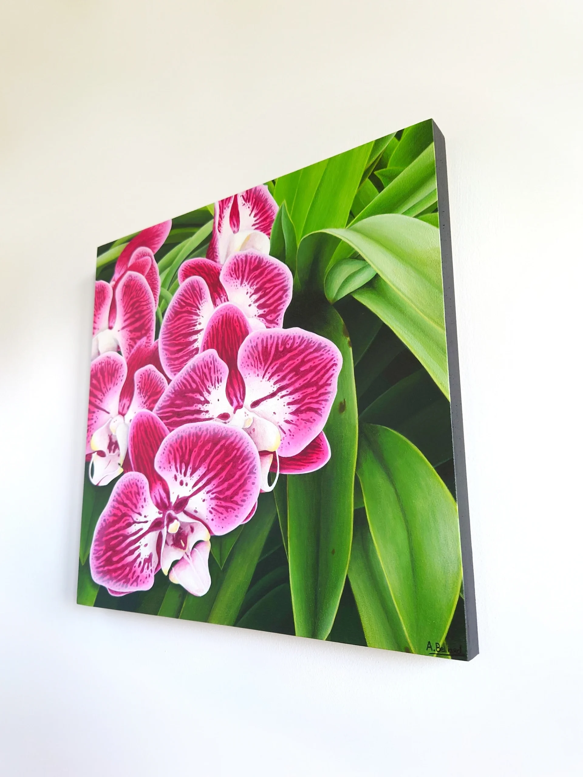 Peinture murale tropicale et exotique de fleurs tropicales d'orchidée roses avec son feuillage vert.