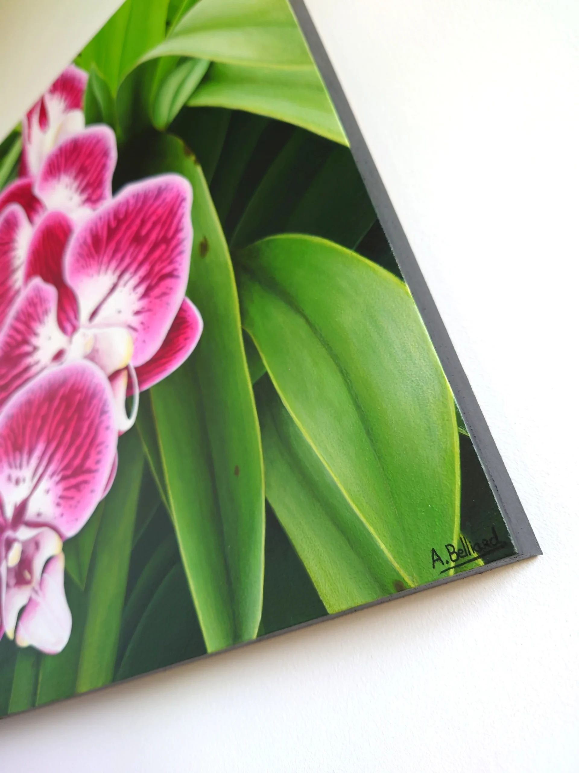 Petit tableau de fleurs tropicales d'orchidée roses avec son feuillage vert de taille 30x30 cm accroché sur un mur.