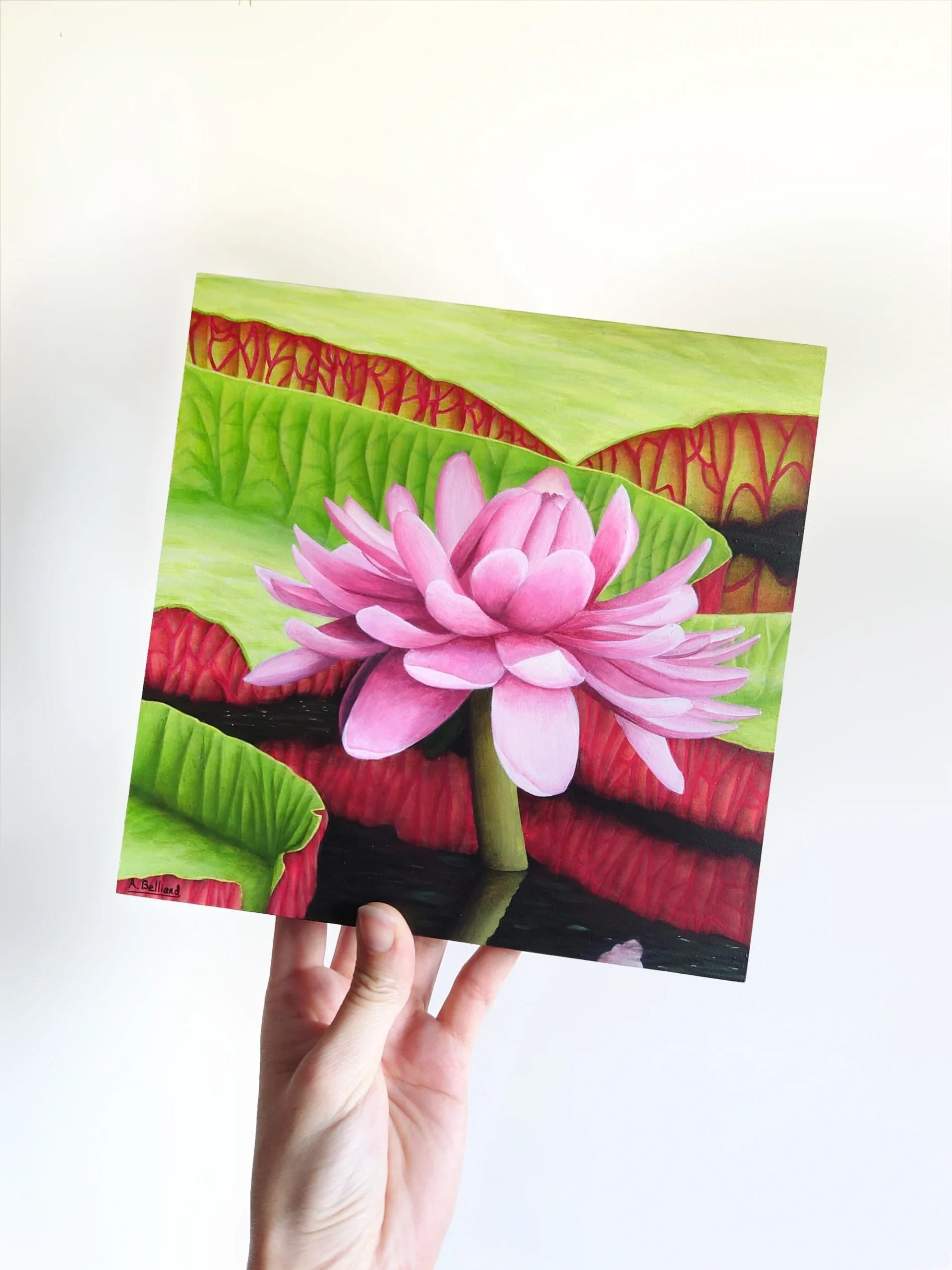 Peinture murale tropicale et exotique d'une fleur de nénuphar rose et ses grandes feuilles.