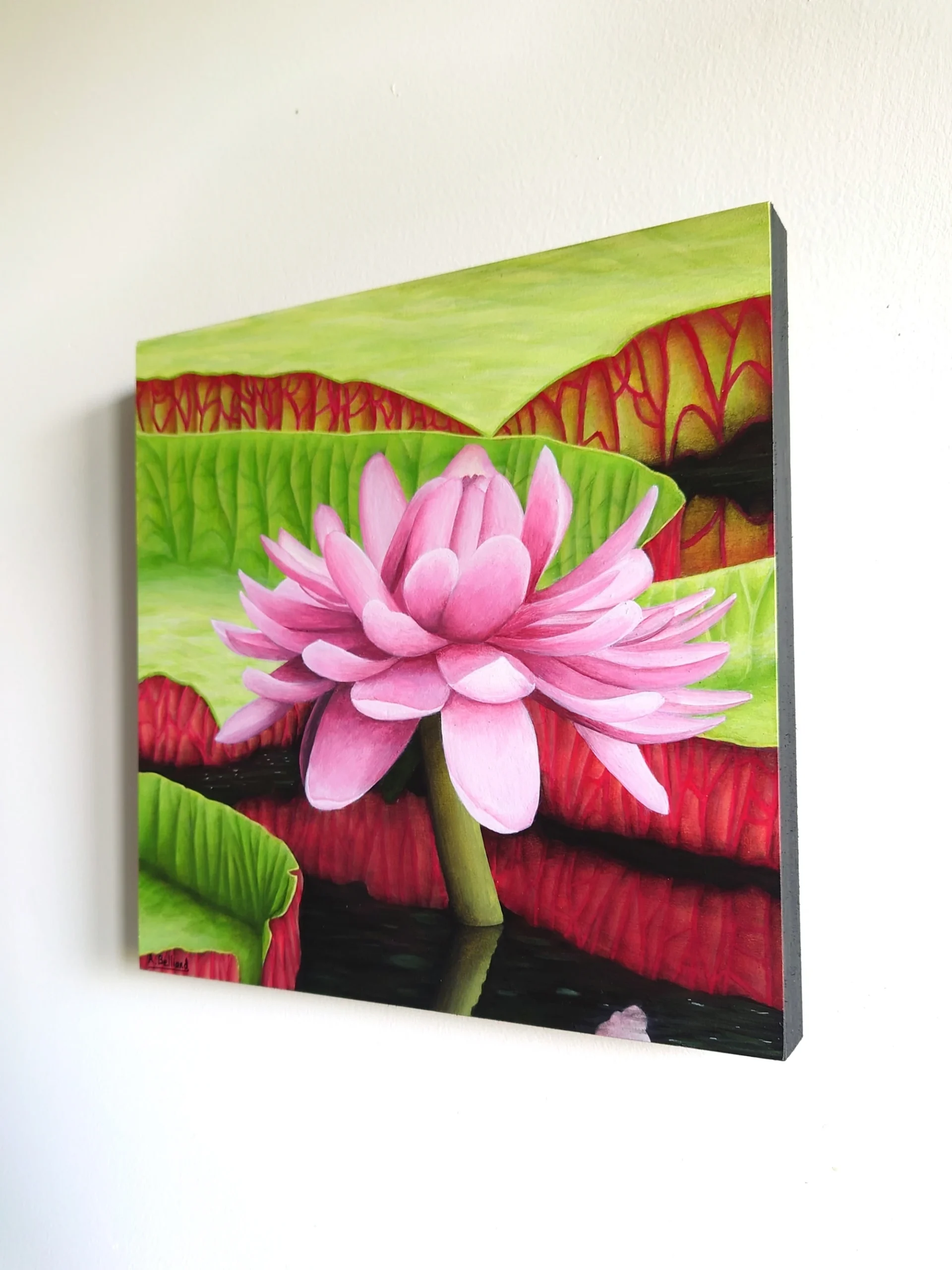 Peinture acrylique d'une fleur de nénuphar rose et ses grandes feuilles de taille 20x20 cm accroché sur un mur.