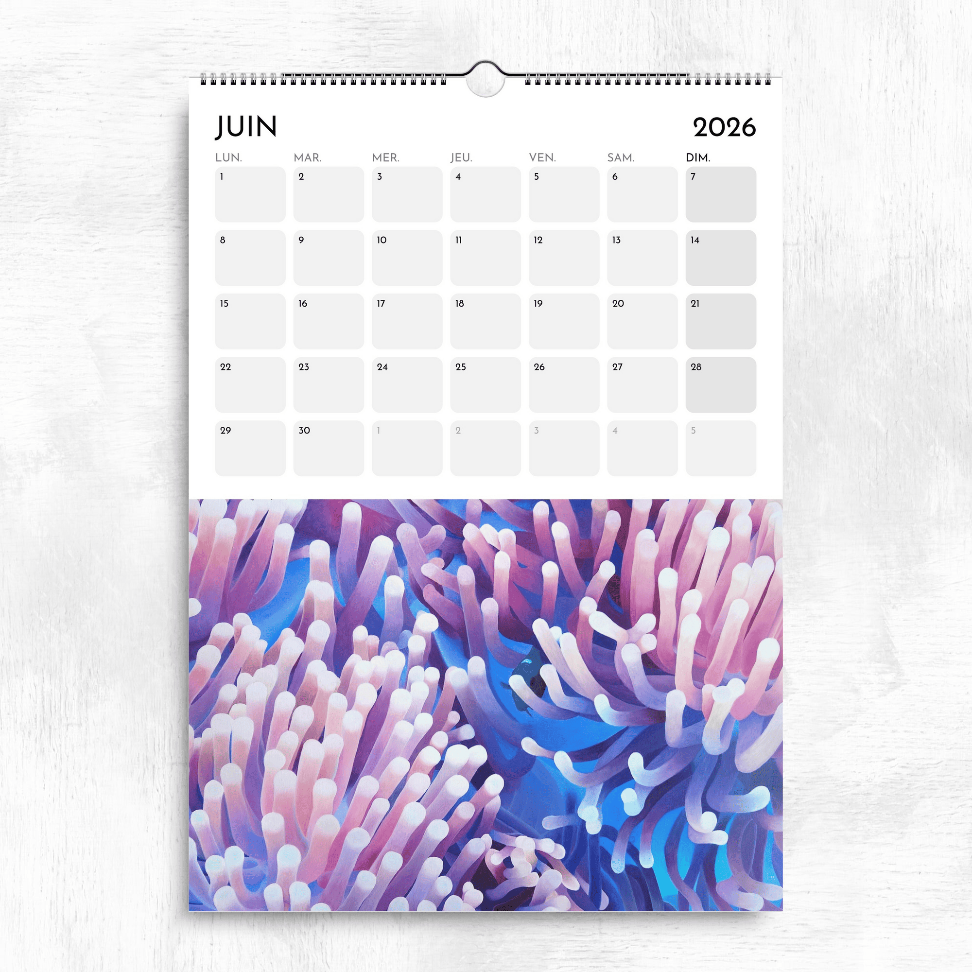 Calendrier océan tropical 2026 - Anémones de mer