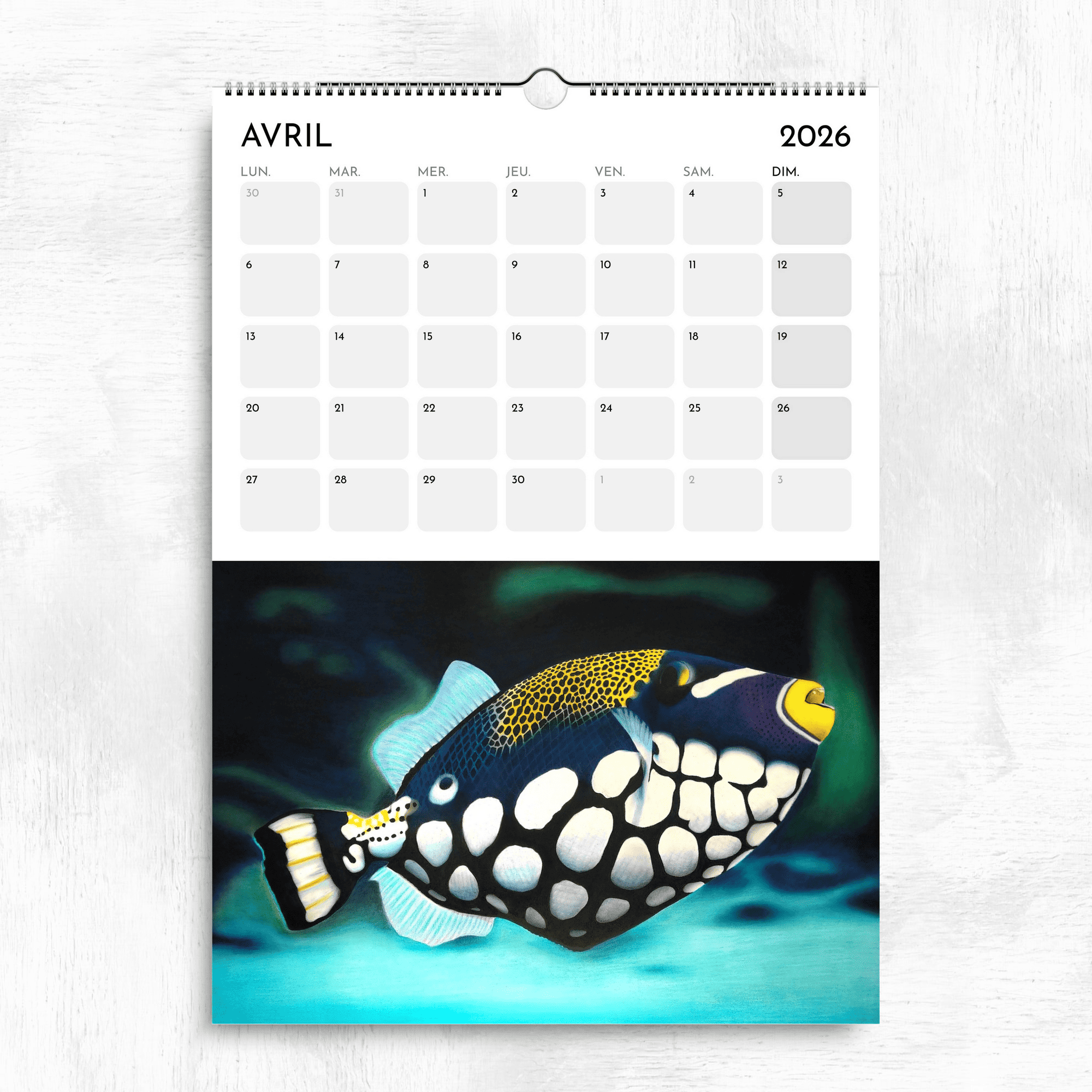 Calendrier océan tropical 2026 - Poisson baliste clown