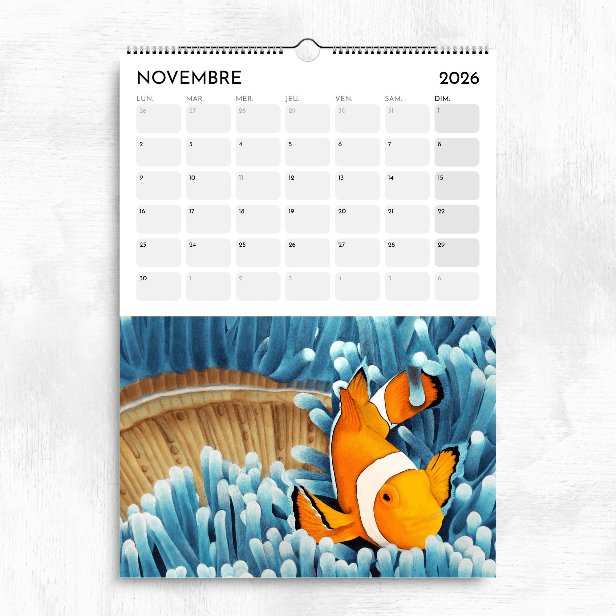 Calendrier océan tropical 2026 - Poisson clown et anémones de mer