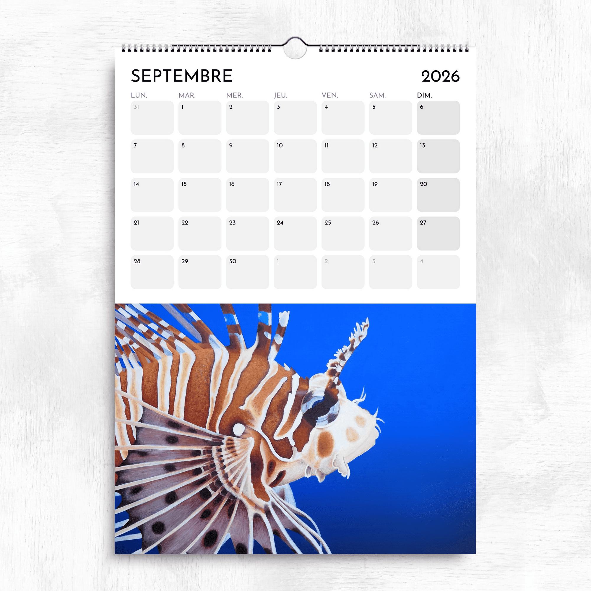 Calendrier océan tropical 2026 - Poisson rascasse volante poisson lion