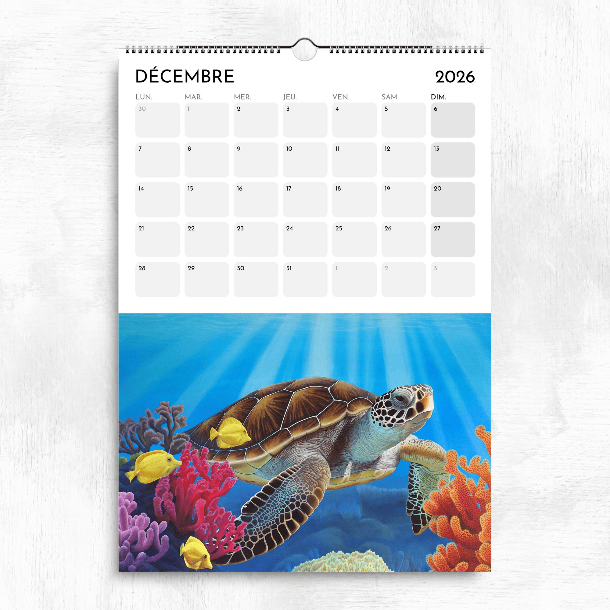Calendrier océan tropical 2026 - Tortue de mer et poisons dans les récifs