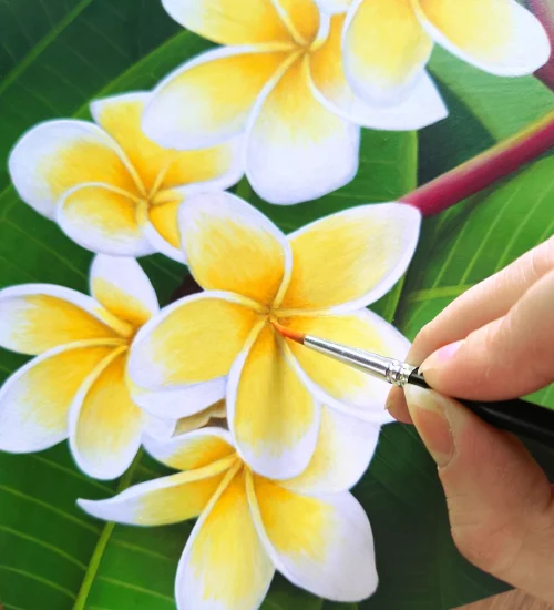 peinture de fleurs de plumeria frangipanier