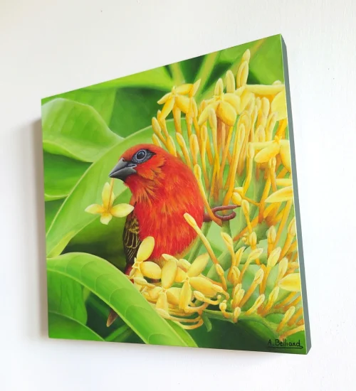 Peinture acrylique d'un oiseau exotique, cardinal foudi rouge, sur une branche au feuillage vert et des fleurs jaunes de taille 20x20 cm accroché sur un mur.