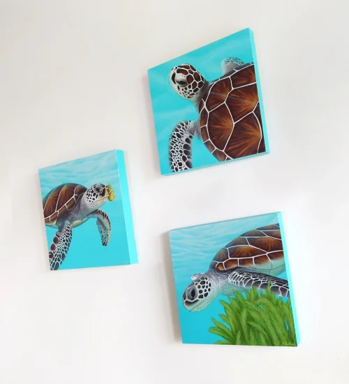 Trio de petit tableau de tortues de mer accompagnées d'un poisson et d'algues dans l'océan turquoise de taille 20x20 cm accroché sur un mur.